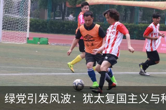 绿党引发风波：犹太复国主义与种族主义的“万华筒